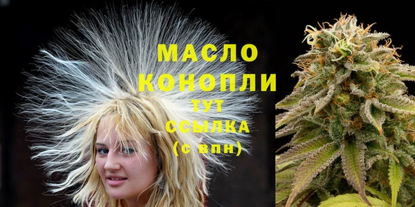 spice Богданович