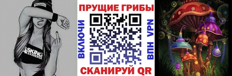 купить   Верхнеуральск  Галлюциногенные грибы мухоморы 